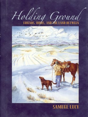 cover image of Holding Ground